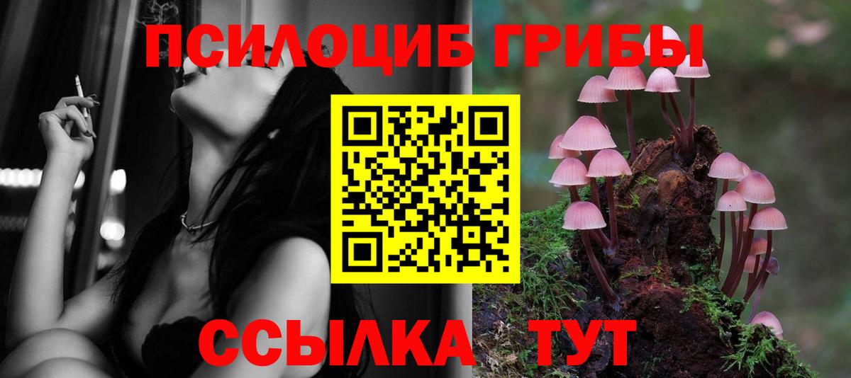 купить   Вход с VPN  Ишимбай  Псилоцибиновые грибы мухоморы 